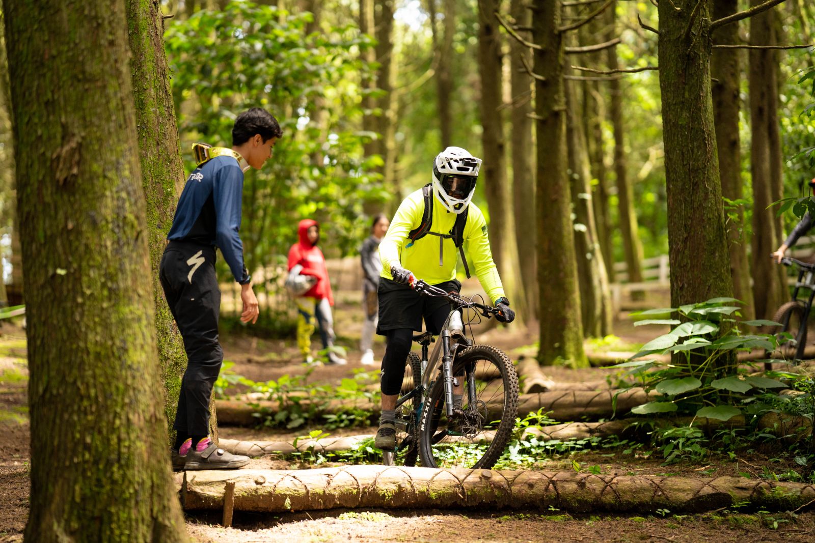 Rider sobre feature de madera