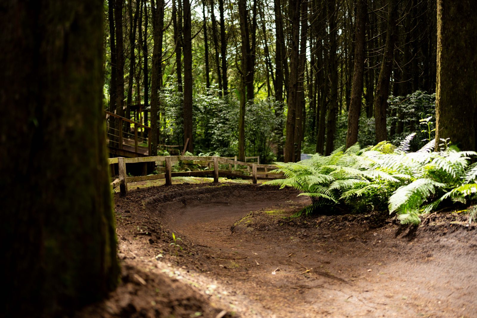 Estrategia de Carrera — Riders Avanzados, Legacy MTB Academy Guatemala